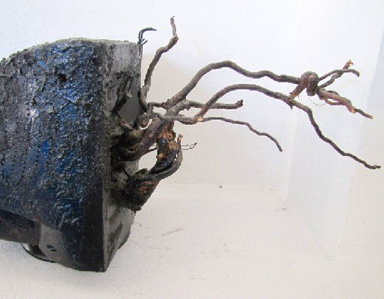 Bild out of order (Seitenansicht)