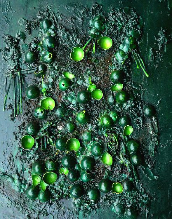 Bild SEIn oder SchEIn