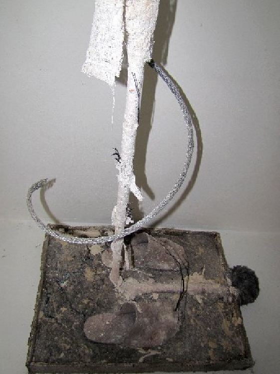 Bild Konzeptloser Ständer mit Beuyslatschen