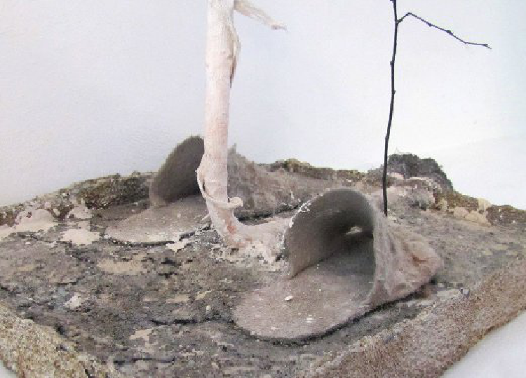 Bild Konzeptloser Ständer mit Beuyslatschen